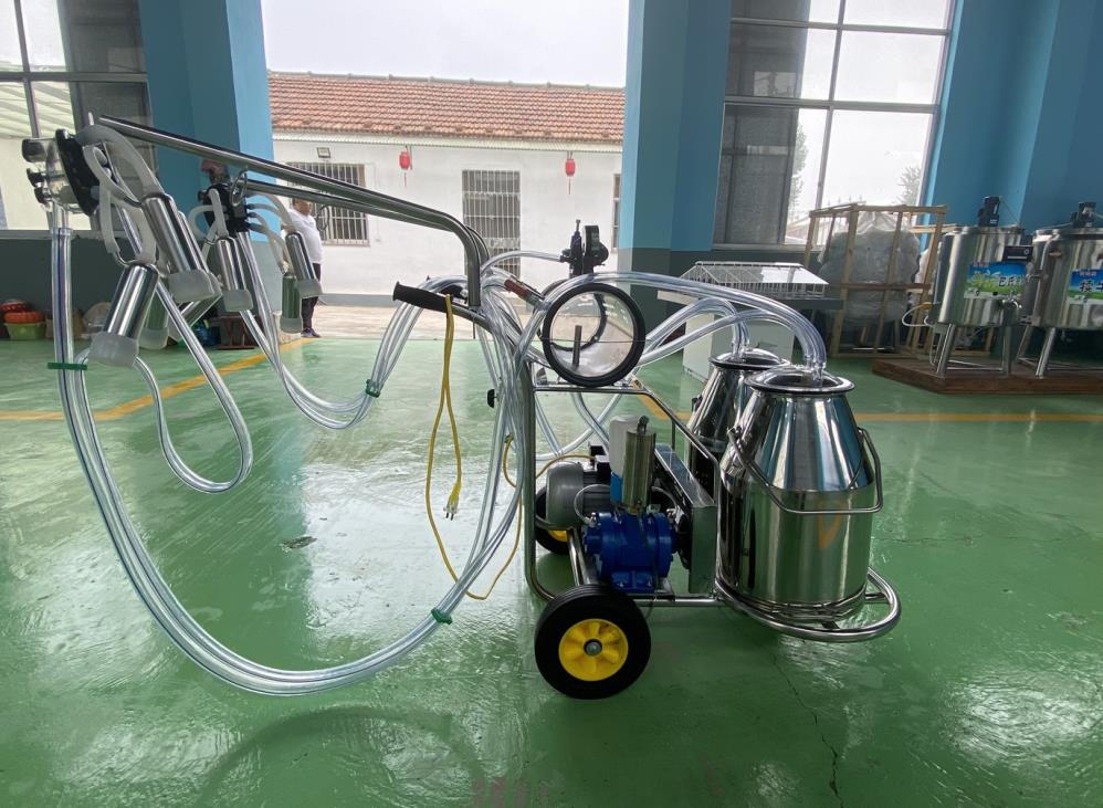 �ͻ�����